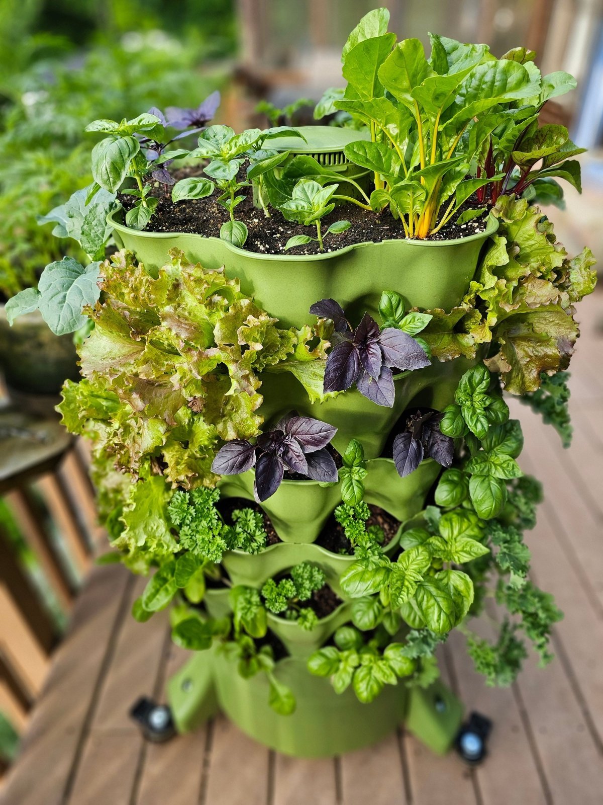 Garden Tower 2 planter on a deck, planted with lettuce, chard, and basil.