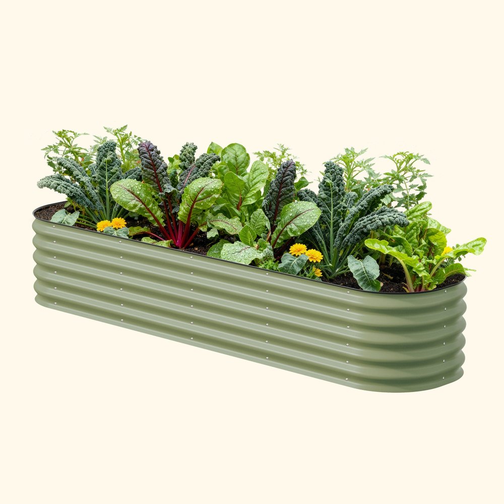 Olive green corrugated metal raised bed planted with greens and flowers.